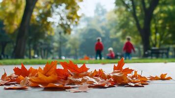 Autumn leaves on the ground photo