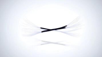 A pair of white and black feathers on a white background photo