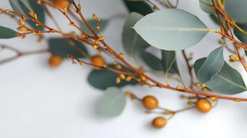 A branch with leaves and berries on it photo