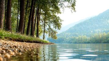 A river with a tree line on the side photo