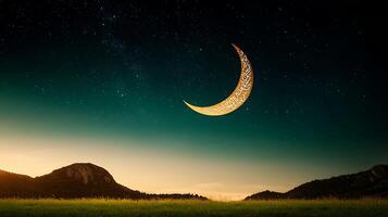A crescent is seen in the sky over a field photo