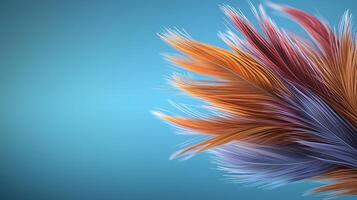 A close up of a colorful feather on a blue background photo