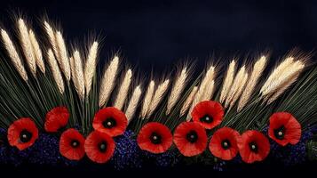 A row of red poppies and wheat on a dark background photo