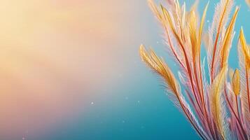 A close up of some grass with the sun in the background photo