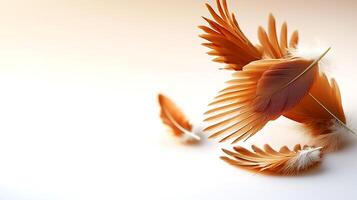 A group of orange feathers on a white surface photo