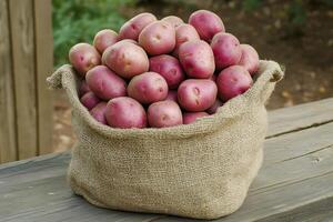 Burlap sack overflowing with fresh red potatoes sitting on wooden table photo