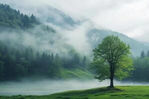 Lonely tree standing on lake shore with fog rolling over hills photo