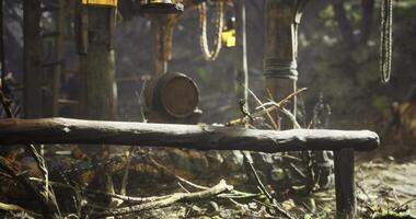 Small creature perched on a branch in an atmospheric forest setting video