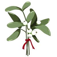 Mistletoe with white berries is tied with a red ribbon illustration vector