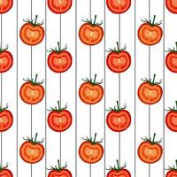 Seamless red tomato pattern. White background with black stripes vector