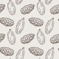 Seamless pattern with Cardamom aromatic camphor. Repeating background with spice fresh dried fruit pods of cardamom plants. Design for Eastern medicine, food, Ayurveda, harvest seeds cardamum vector
