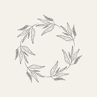 Frame background with black allspice for text. Hand drawn border with sketch of pepper spice with branch, leaves and fruits of tropical tree Pimento officinalis. Food ingredient, health, aroma vector
