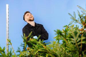 Man is carrying cart with a pine tree on a blue background. photo