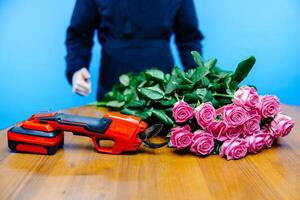Man in apron cuts off the ends of a rose on blue background. photo