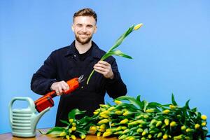 Man flower shop manager standing in apron in small floral shop. Man working a with tulips in flower shop photo