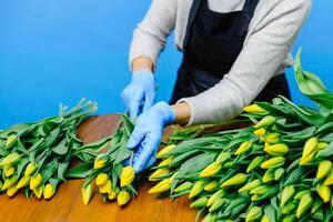 Pensioner lady florist wearing apron, takes care of flowers, working in flower shop studio. photo