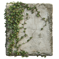 Aged Stone Slab with Overgrown Vines A Weathered Texture Against Transparent Background for Nature Designs, Historical Themes, or Decorative Projects png