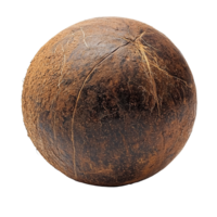 Coconut shell with rough texture and natural fibers isolated on transparent background png