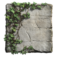 Aged Stone Slab with Overgrown Vines A Rustic Weathered Texture Against Transparent Background for Nature Designs Historical Themes Decorative png
