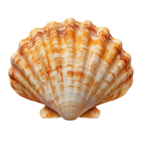 Beautiful orange scallop shell with intricate patterns isolated on transparent background png