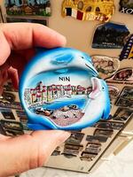 Hand holding a dolphin-shaped souvenir of Nin against a magnet collection photo