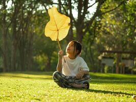 Happy little girl outdoors in nature and having fun picking leaves with beautiful warm sunset in the park photo