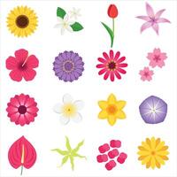 A vibrant collection of 16 various flowers, perfect for floral enthusiasts, gardeners, nature lovers, botanists, and greeting card designers. vector