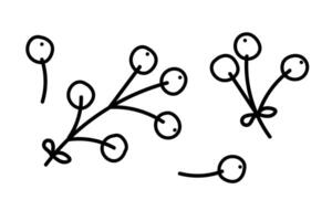 Simple line drawing of abstract plant branches with circular buds vector