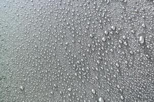 Shimmering Water Droplets on a Deep, Dark Canvas photo