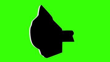green screen 3d icon map of Monroe County in Illinois video