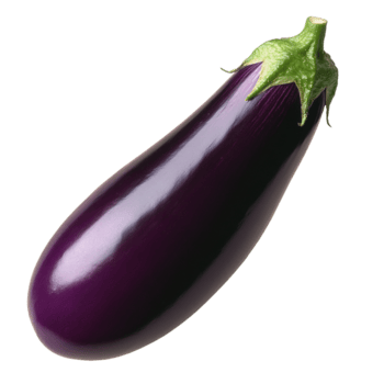 eggplantページ High-Germination-Long-Tapered-
