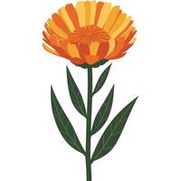 An orange flower with leaves on it vector