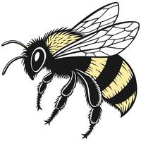 A bee with black and yellow stripes on it vector