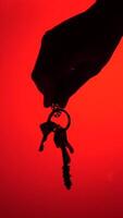 vertical Hand holding keys on a red background video