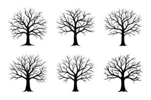 A set of Leafless Tree - Black and White Silhouette of Trees with Bare Branches vector