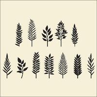 Pine Tree Leaf set Silhouette, Pine Tree vector