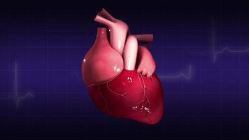 Visualization of a pulsating heart with ECG waveform. video