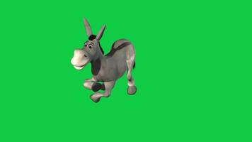 Cartoon Donkey dance loop 3d animation isolated on green screen background video