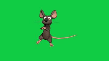 3d tekenfilm muis dansen lus animatie geïsoleerd Aan groen scherm achtergrond video