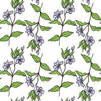 Seamless Pattern With Drawn Blooming Blue Branches vector