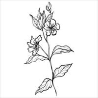 Minimalistic Hand Drawn Monochrome Flower Branch vector