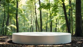 Huge White Circular Platform in a Sunlit Forest Clearing for Product Showcase photo