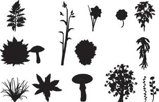 Various silhouettes of plants and trees vector
