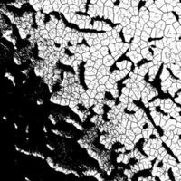 Ancient surface with complex grain patterns and natural aging marks, featuring detailed rough elements and abstract noise effects vector