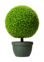 Sphere Topiary Isolated on Transparent Background png