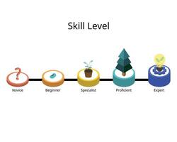 skill level from novice, beginner, specialist, proficient vector