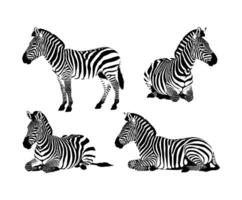 Creative Zebra Silhouette Collection Template Design vector