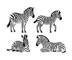 Modern Zebra Silhouette Collection Template vector
