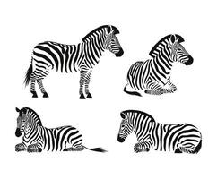 Zebra Silhouette Collection Template Illustrations vector