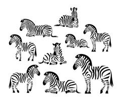 Abstract Zebra Silhouette Collection Template vector